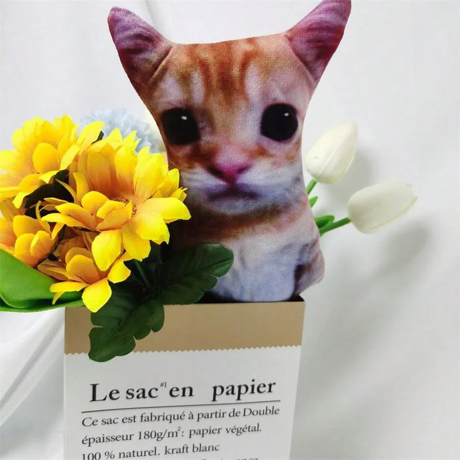 Funny Face Cat Plush Toy, Goofy Kitten Stuffed Animal Meme Cat Stuffed & Plush Animals Toy Gift for Kids Girls Girlfriend